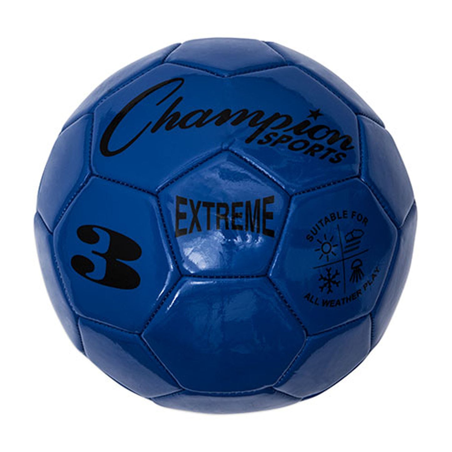 new Champion Sports Extreme Soccer Ball