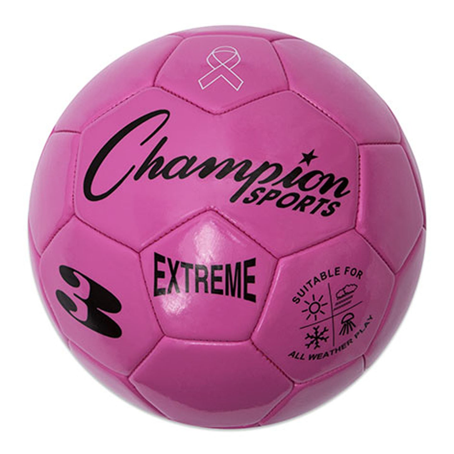new Champion Sports Extreme Soccer Ball