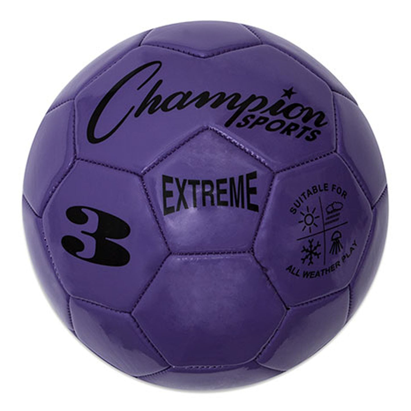 new Champion Sports Extreme Soccer Ball