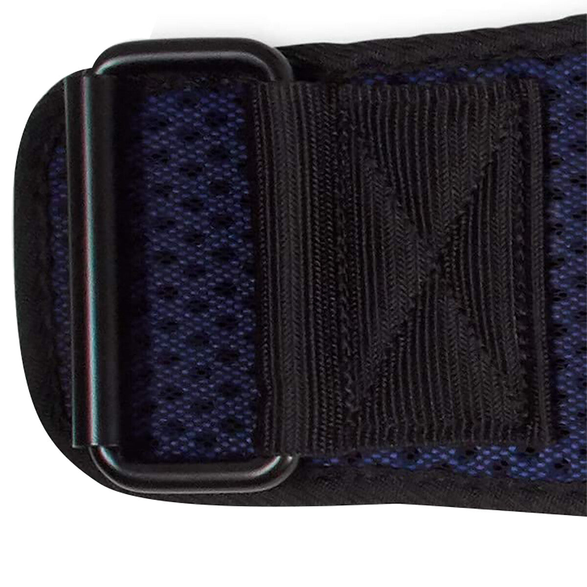 new Harbinger HexCore 4.5" Weight Lifting Belt - Blue