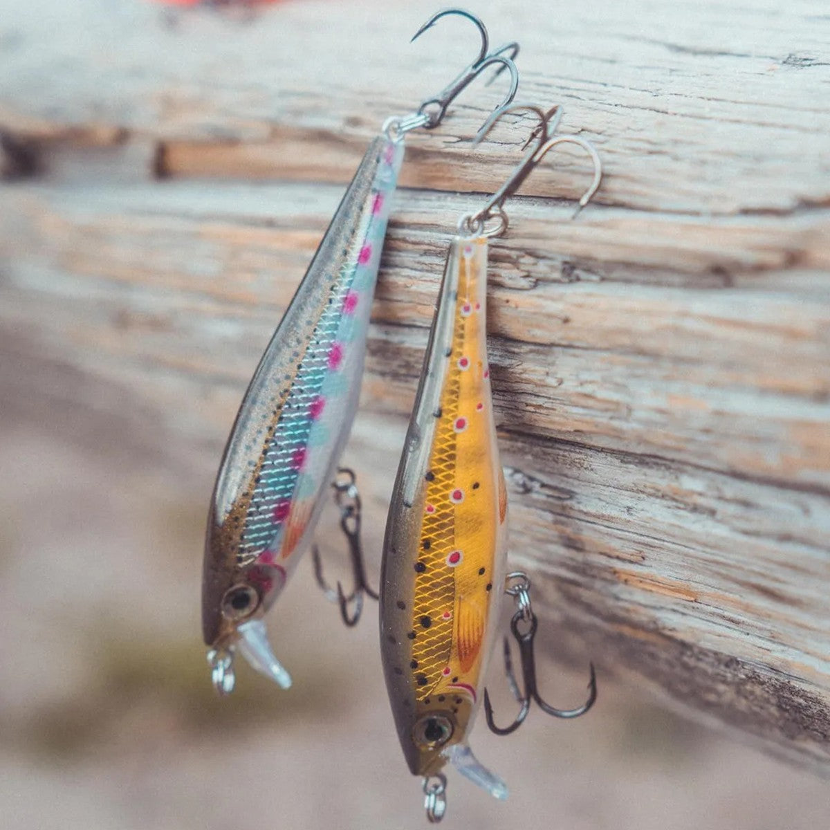 new Rapala Shad Rap 07 Fishing Lure - Bleeding Hot Olive