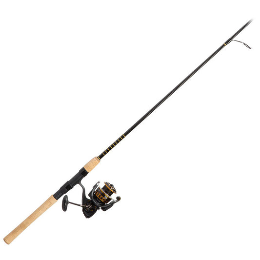new Daiwa BG Saltwater Spinning Fishing Rod and Reel Combo